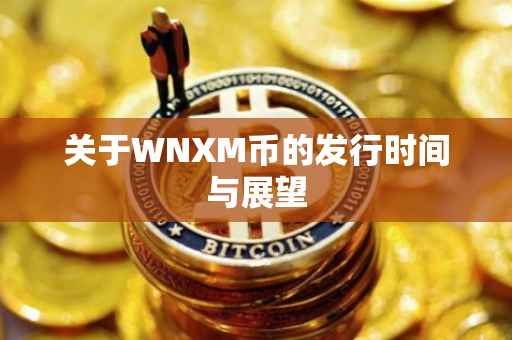 关于WNXM币的发行时间与展望
