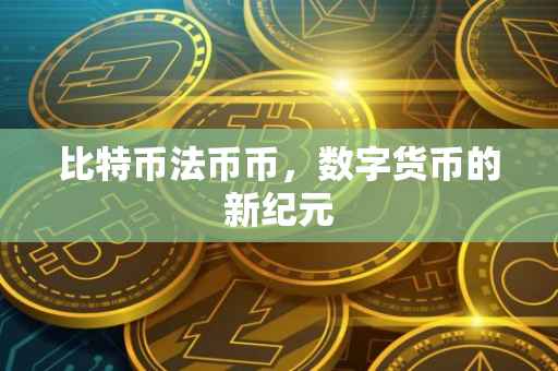 比特币法币币，数字货币的新纪元