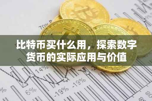 比特币买什么用，探索数字货币的实际应用与价值