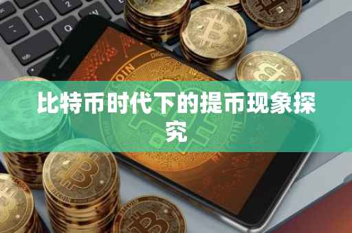 比特币时代下的提币现象探究