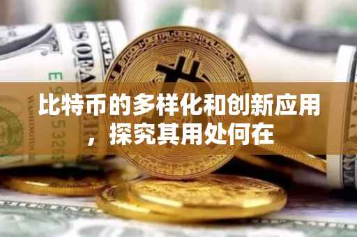 比特币的多样化和创新应用，探究其用处何在