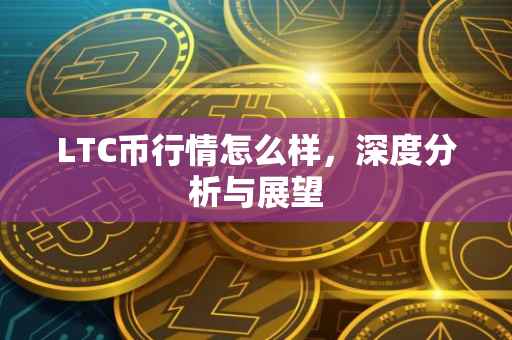 LTC币行情怎么样，深度分析与展望