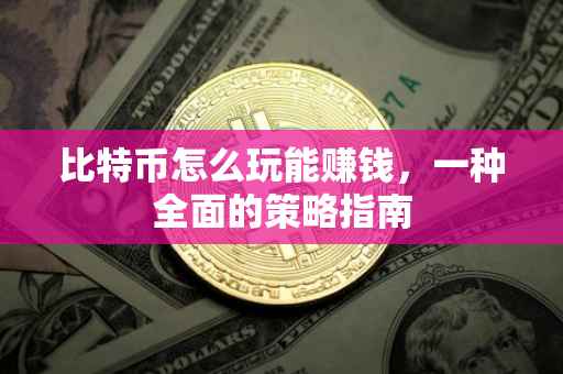 比特币怎么玩能赚钱，一种全面的策略指南