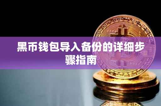 黑币钱包导入备份的详细步骤指南