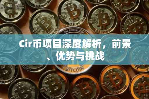 Cir币项目深度解析，前景、优势与挑战