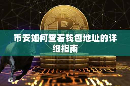 币安如何查看钱包地址的详细指南
