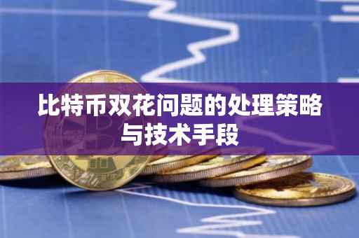 比特币双花问题的处理策略与技术手段