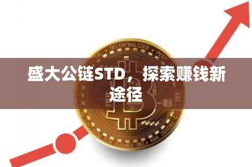 盛大公链STD，探索赚钱新途径
