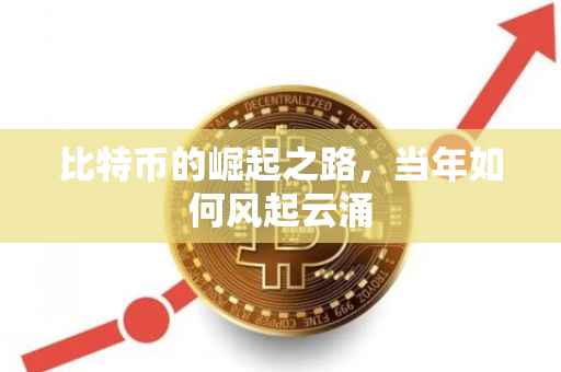 比特币的崛起之路，当年如何风起云涌