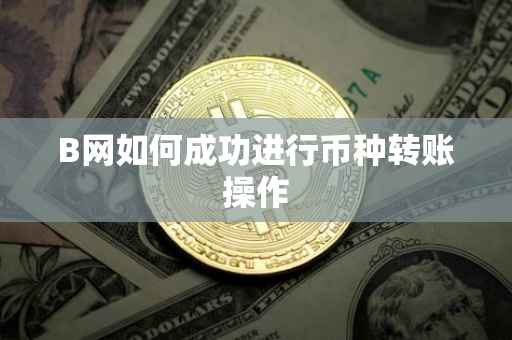 B网如何成功进行币种转账操作