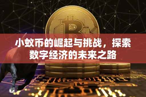 小蚁币的崛起与挑战，探索数字经济的未来之路
