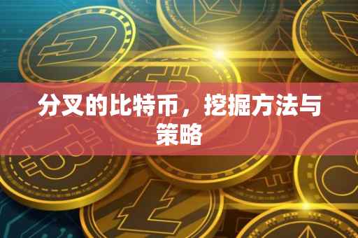 分叉的比特币，挖掘方法与策略