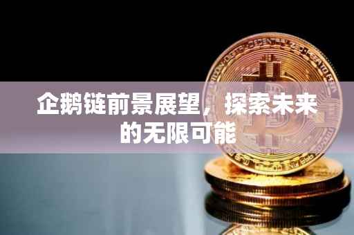 企鹅链前景展望，探索未来的无限可能