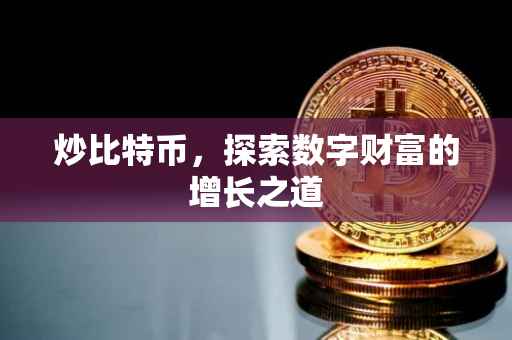 炒比特币，探索数字财富的增长之道