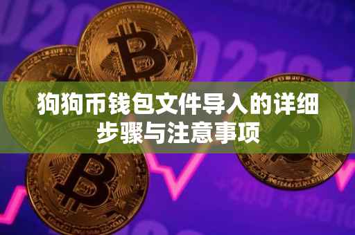 狗狗币钱包文件导入的详细步骤与注意事项
