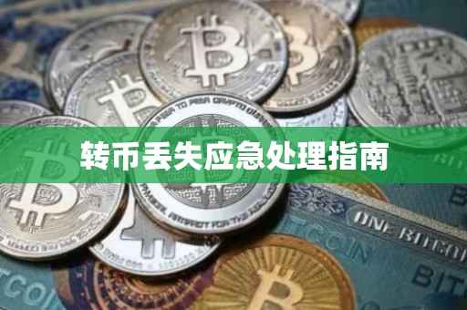 转币丢失应急处理指南