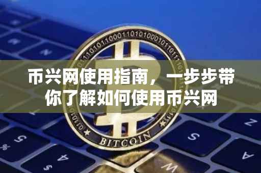 币兴网使用指南，一步步带你了解如何使用币兴网