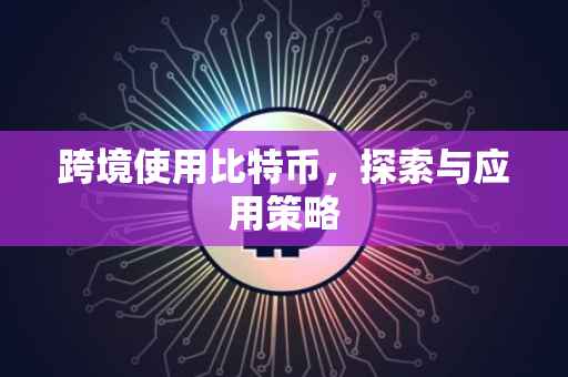 跨境使用比特币，探索与应用策略