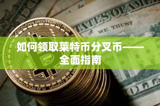 如何领取莱特币分叉币——全面指南