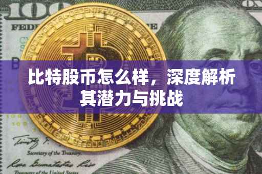 比特股币怎么样，深度解析其潜力与挑战
