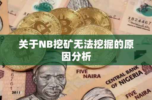 关于NB挖矿无法挖掘的原因分析