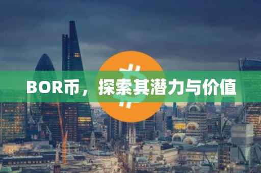 BOR币，探索其潜力与价值