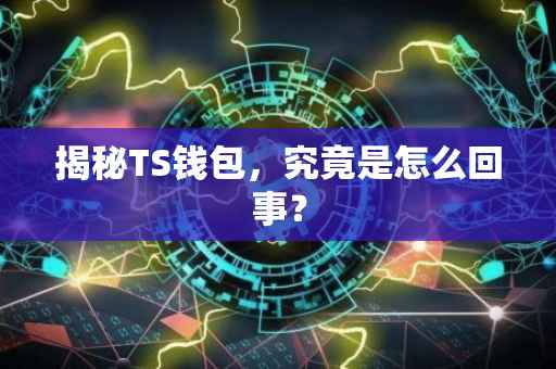 揭秘TS钱包，究竟是怎么回事？