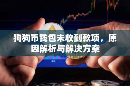 狗狗币钱包未收到款项，原因解析与解决方案