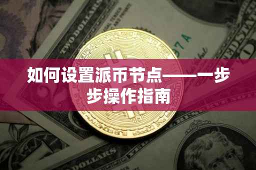如何设置派币节点——一步步操作指南
