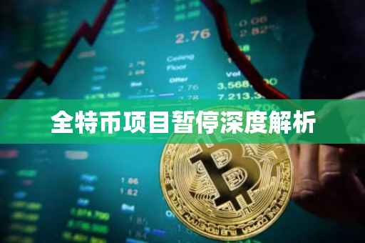 全特币项目暂停深度解析