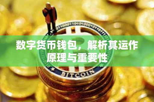 数字货币钱包，解析其运作原理与重要性