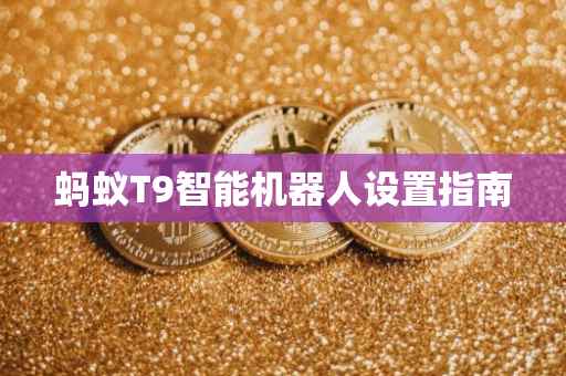 蚂蚁T9智能机器人设置指南