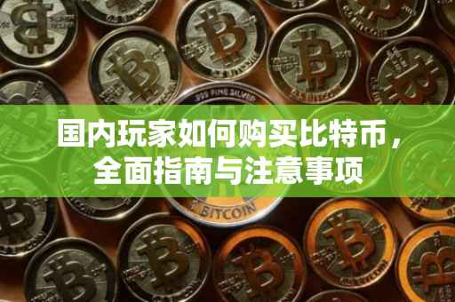 国内玩家如何购买比特币，全面指南与注意事项