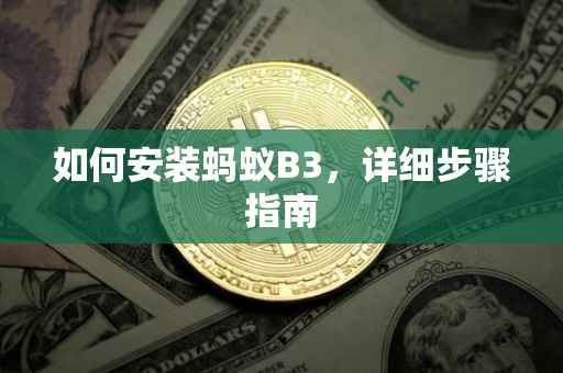 如何安装蚂蚁B3，详细步骤指南