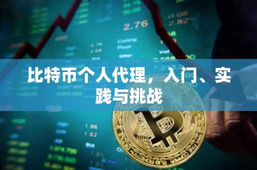 比特币个人代理，入门、实践与挑战