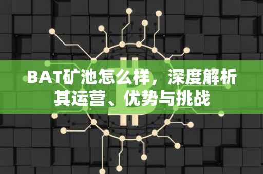 BAT矿池怎么样，深度解析其运营、优势与挑战