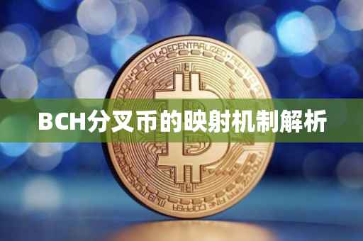 BCH分叉币的映射机制解析