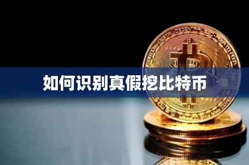 如何识别真假挖比特币