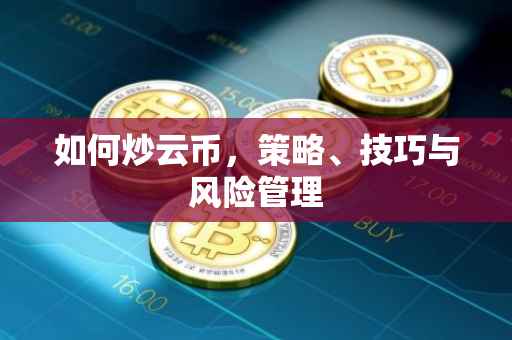 如何炒云币，策略、技巧与风险管理