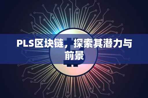 PLS区块链，探索其潜力与前景
