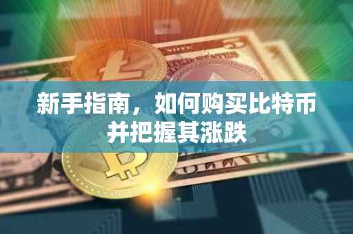 新手指南，如何购买比特币并把握其涨跌