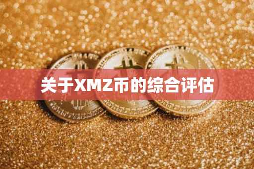 关于XMZ币的综合评估