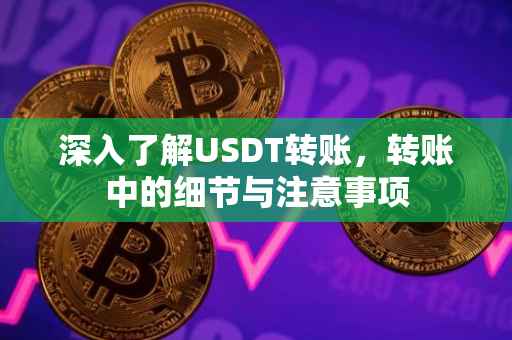 深入了解USDT转账，转账中的细节与注意事项