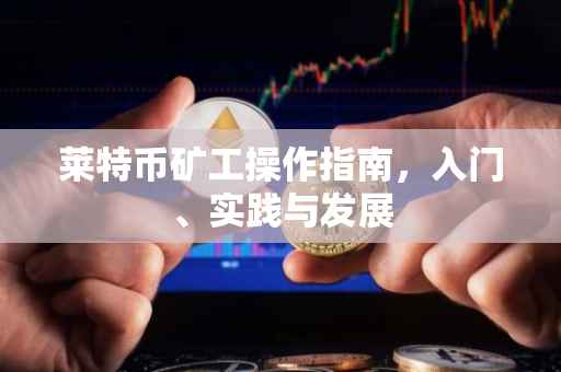 莱特币矿工操作指南，入门、实践与发展