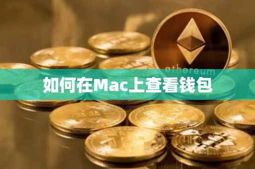 如何在Mac上查看钱包