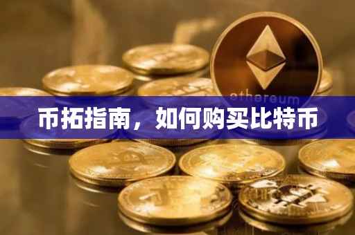 币拓指南，如何购买比特币