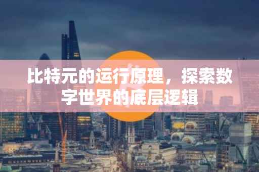 比特元的运行原理，探索数字世界的底层逻辑