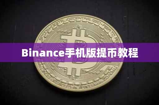 Binance手机版提币教程