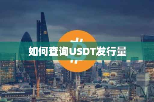 如何查询USDT发行量