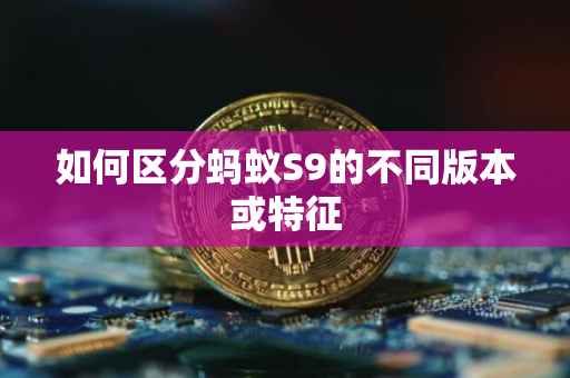 如何区分蚂蚁S9的不同版本或特征